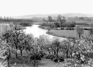 Wyre: Wyre Piddle, the River Avon c1955