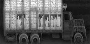 Smuggled: An x-ray of a truck with illegal immigrants