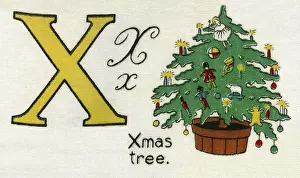 Deans: X for Xmas Tree