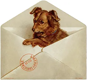 Pops: Xmas Dog in Envelope