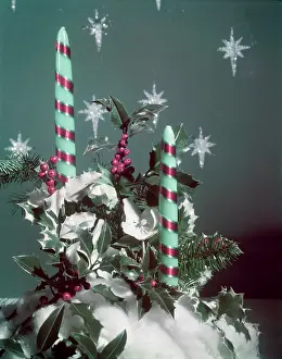 Woof: XMAS TABLE SETTING