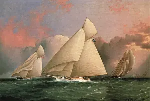 Yachts: The Yacht Orion