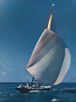 Spinnaker: YACHT RACING