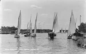 Sailboats: Yacht Racing in Horning