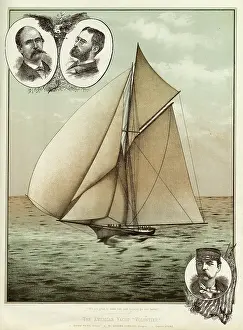 Contender: Yacht Volunteer