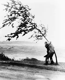 Wollaston: Two yachtsmen hang desperately to a tree ?