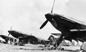Yak 3: Yakovlev Yak-3