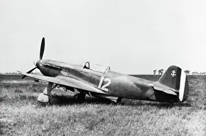Yak 3: Yakovlev Yak-3