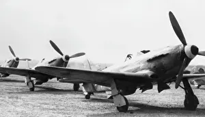 Forcemilitary: Yakovlev Yak-3