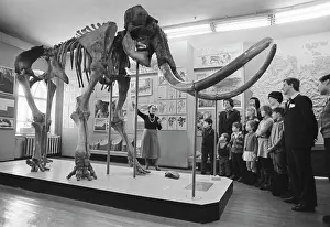 Yakutsk: Yakutsk Local History Museum