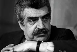 Frenkel: Yan Frenkel, 1985