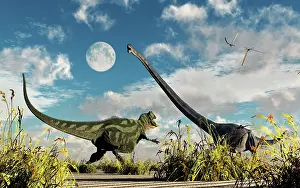 Allosaurid: A Yangchuanosaurus dinosaur confronting an Omeisaurus