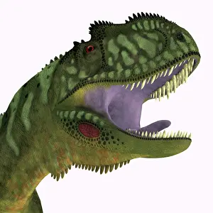 Menacing: Yangchuanosaurus dinosaur head, close-up