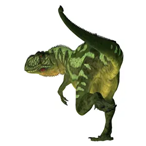 Allosaurid: Yangchuanosaurus dinosaur, rear view on white background