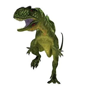 Allosaurid: Yangchuanosaurus dinosaur, front view on white background