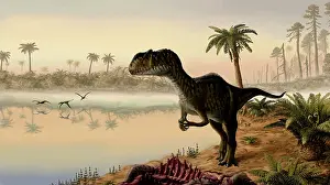 Allosaurid: Yangchuanosaurus eats the carrion of a dead animal
