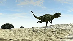 Yangchuanosaurus: Yangchuanosaurus running across a barren landscape