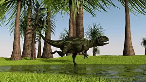 Yangchuanosaurus: Yangchuanosaurus running through swampy water