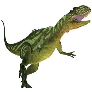 Metriacanthosaurid: Yangchuanosaurus, a theropod dinosaur from the Jurassic ?