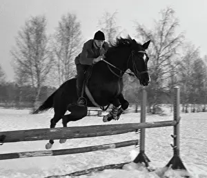 Obstacles: Yaroslavl horse-riding school