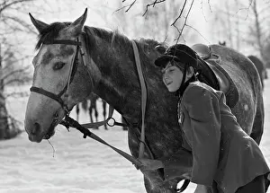 Ninth: Yaroslavl horse-riding school