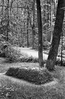 Asked: Yasnaya Polyana, 1960