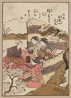Asukayama: Yayoi asukayama hanami
