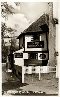 Albans: Ye Old Fighting Cocks Public House, St Albans, Hertfordshire