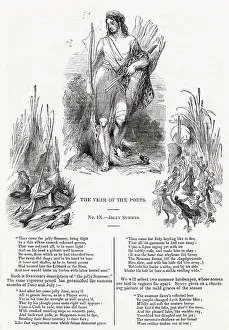Quiver: The Year of the Poets -- Jolly Summer