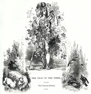 Lambs: The Year of the Poets -- The Young Spring