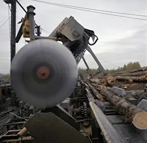Semiautomatic: Yefimovsky timber industry enterprise