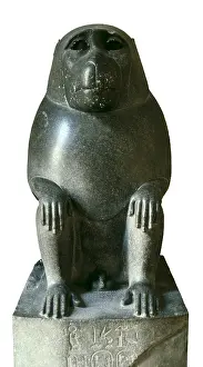 Baboon: Yellow Baboon. ca. 341 BC. Made in granite for