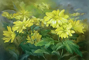 Chrysanthemums: Yellow Chrysanthemums