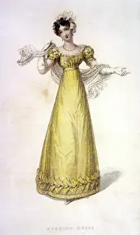 Lesley Bradshaw: YELLOW EVENING GOWN 1823