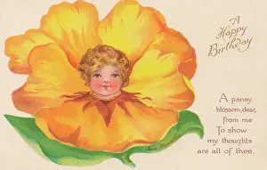 Marcellus: Yellow Flower Faces