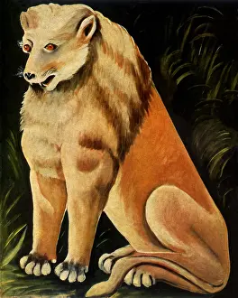 Pirosmani: Yellow Lion Sejant