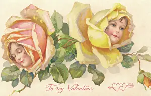 Nister: Yellow & pink rose flower faces