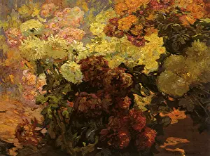 Shadowy: Yellow and Red Flowers