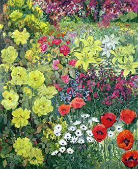 Jameson: Yellow, Red and Pink Roses
