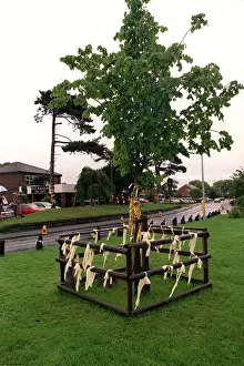 Louises: Yellow Ribbons Hang On The