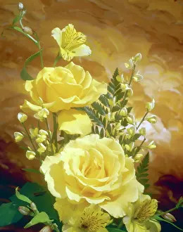 Daglish: Yellow Roses, Broom and Lilies