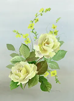 Mullein: Yellow roses with mullein