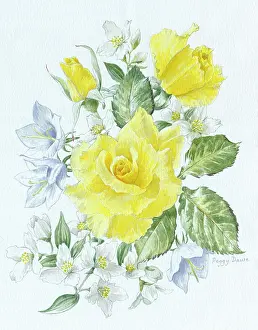 Dawe: Yellow Roses and Philaldelphus