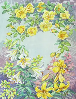 Berberis: Yellow Shrub Roses, Lilies and Berberis