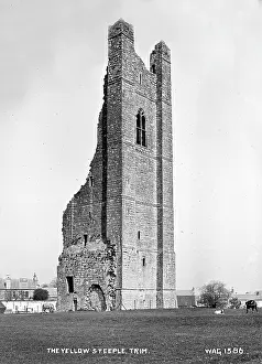 Derelict: The Yellow Steeple, Trim