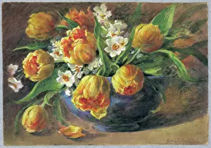 Pressland: Yellow Tulips and Narcissi