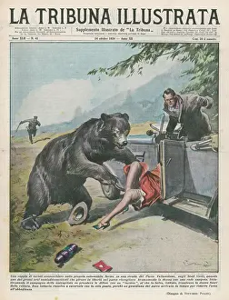 Pats: YELLOWSTONE BEAR ATTACKS