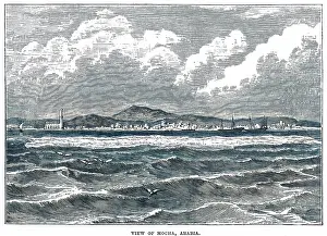 Mocha: YEMEN/MOCHA 1870S
