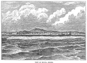 Mocha: YEMEN/MOCHA 1870S