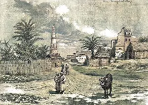 Mocha: Yemen - Mocha - 1883